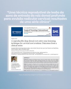 Artigo 3